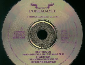 CMS殿牛／スポンジ溶解痕